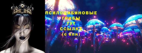 прущие грибы Лагань