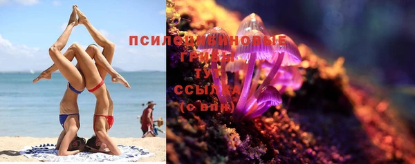 стафф Липки