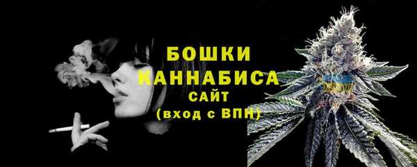 сатива Лихославль