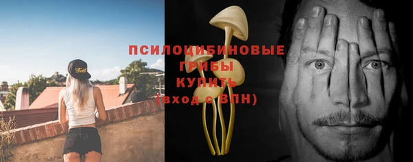 сатива Лихославль