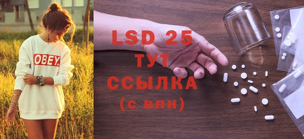 прущие грибы Лагань