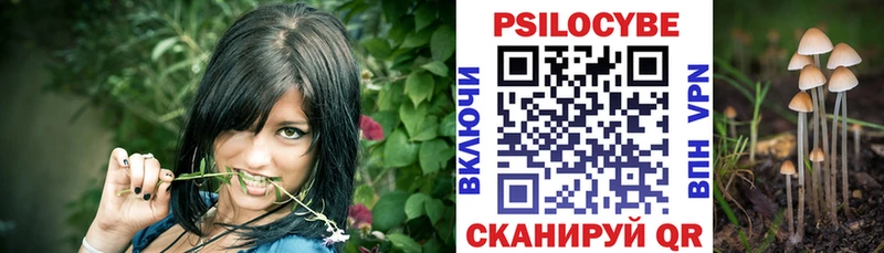 Галлюциногенные грибы мухоморы  Купить закладки  Дубовка 